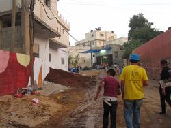 Vertical Gardening'10