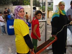 Vertical Gardening'10