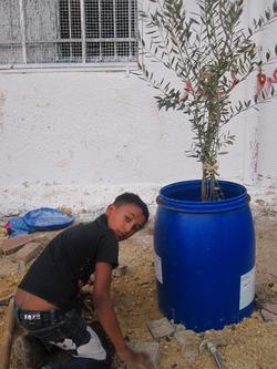 Vertical Gardening'10