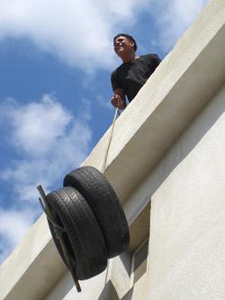 Vertical Gardening'10