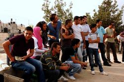 Vertical Gardening'10