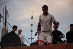 Vertical Gardening'10