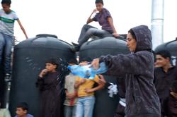 Vertical Gardening'10